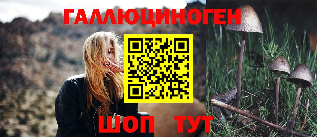 Алушта  Псилоцибиновые грибы Psilocybe  Галлюциногенные грибы MAGIC MUSHROOMS  Вход с VPN 